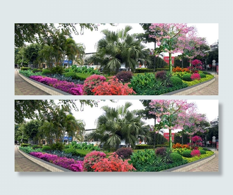 绿化植物效果图图片(3697X1514(DPI:300))psd模版下载