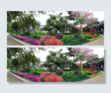 绿化植物效果图图片