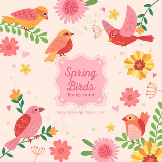 可爱的春天鸟背景