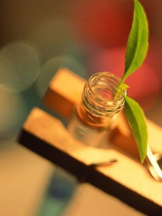 试管 嫩芽 试验 科学研究 现代科...