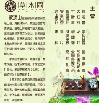 茶两折页内页图片