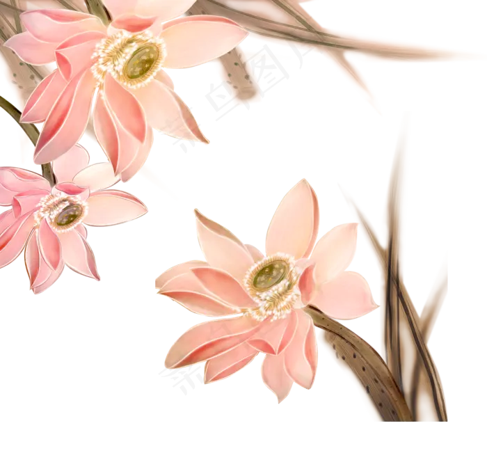 国画荷花png素材