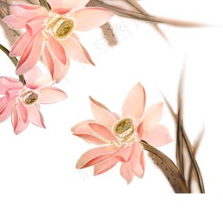 国画荷花png素材