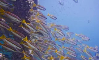 沙巴海景风光图片
