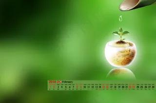 绿色 桌面壁纸图片