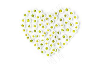 心形鲜花创意图案