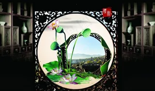 中国风荷花图片