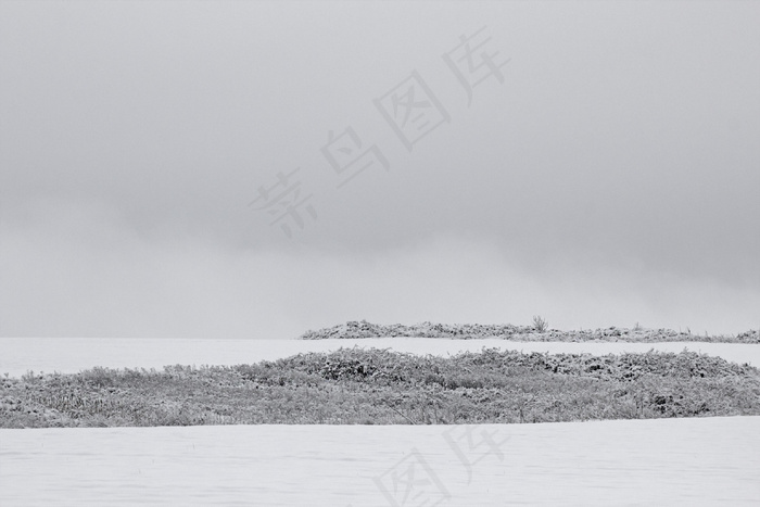 雪景