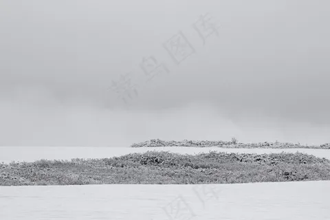 雪景 雪景