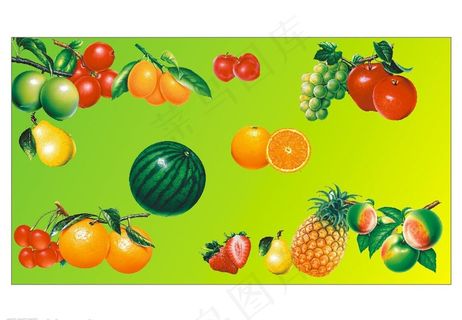 水果图图片