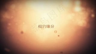 婚庆公司宣传片AE模板