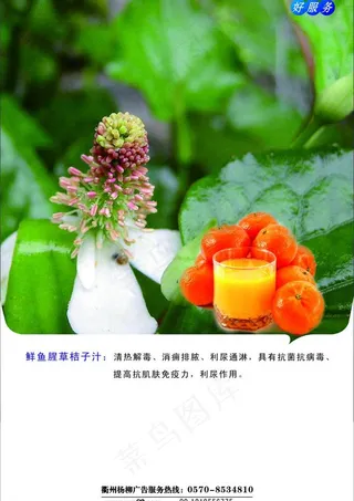 黄秋葵桔子汁图片