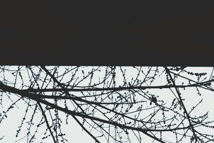 黑色背景壁纸