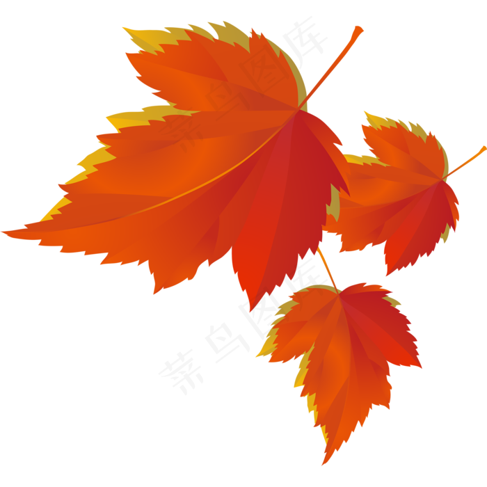 简约红色枫叶免抠png透明图层素材