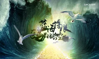 【蓝鸥】海鸥海报