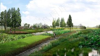 乡村田野美丽风景效果图片