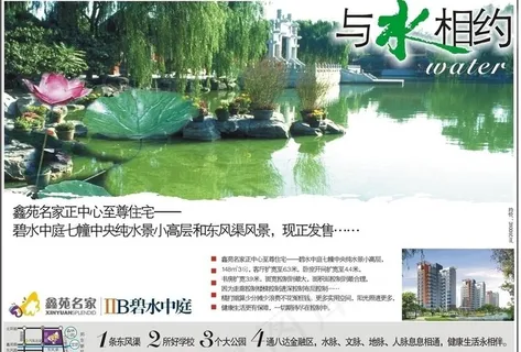 碧水中庭之荷花图片