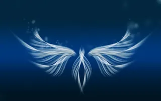 幻影精灵翅膀图片