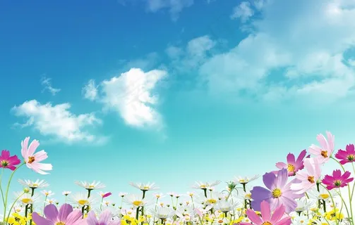 春天 春天