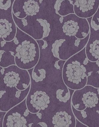 中布纹_布纹_中纹(技术组专用)