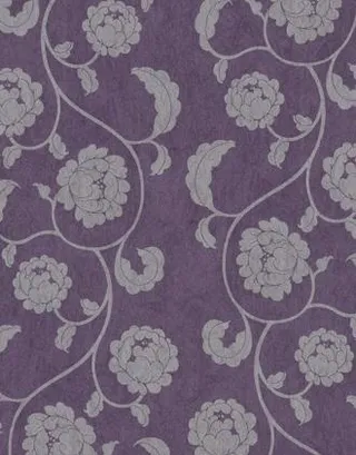 中布纹_布纹_中纹(技术组专用)