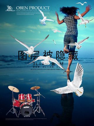 大海 鸽子 面朝大海