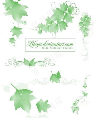 植物树叶笔刷图片
