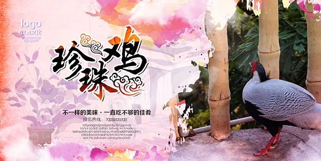 珍珠鸡宣传海报(4731X2371(DPI:300))psd模版下载