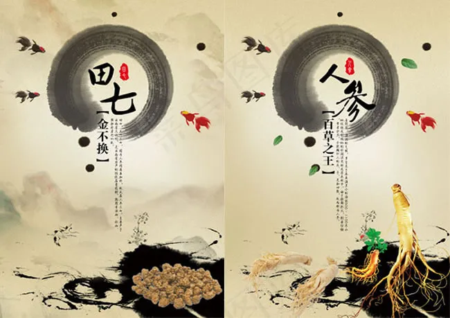 田七人参中草药宣传海报PSD素材(2339X3307(DPI:200))psd模版下载