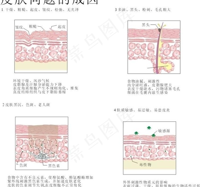 皮肤问题图解图片cdr矢量模版下载