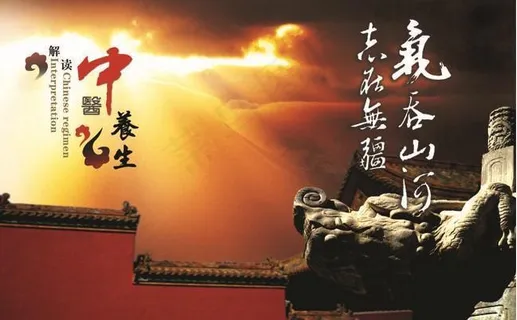 中华文化养生广告海报PSD素材