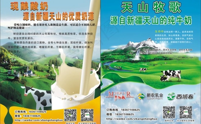 新疆牛奶宣传彩页(428X289)cdr矢量模版下载