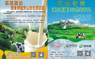新疆牛奶宣传彩页