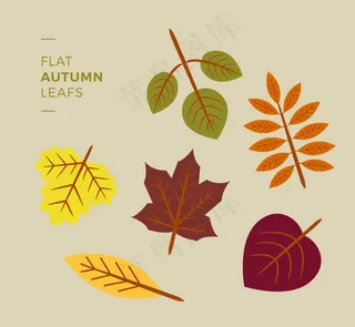 美丽的秋天的树叶