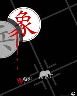 保护动物海报图片 保护动物海报图片