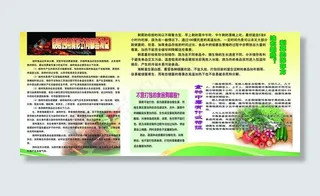 食品药品监督宣传栏图片