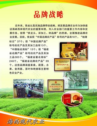 618展会展板 品牌战略图片