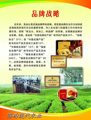 618展会展板 品牌战略图片