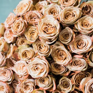 简约小清新文艺风插花静物摆拍背景