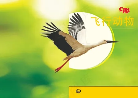鸟类画册vi vis 观鸟画册 飞行动物 鸟杂志