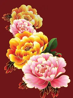 牡丹花图片 牡丹花图片