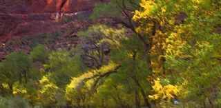 彩色粉笔画工作室网页模板