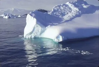 实拍自然背景视频素材