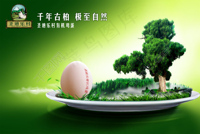 有机鸡蛋宣传海报psd模版下载