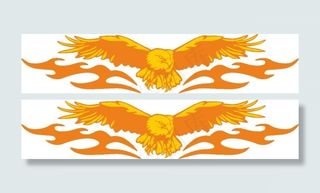 张开翅膀的火焰鹰图片