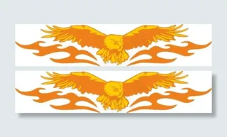 张开翅膀的火焰鹰图片