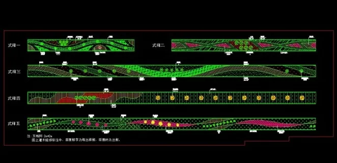市政道路绿化大样图