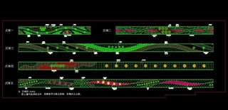 市政道路绿化大样图