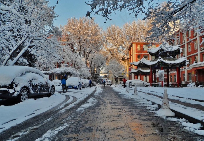 春雪图片