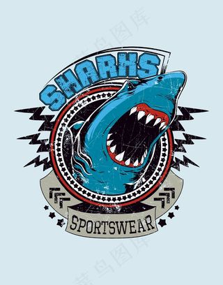 鲨鱼插画